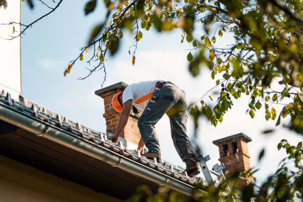 Best Roof Maintenance  in Wakefield, MI