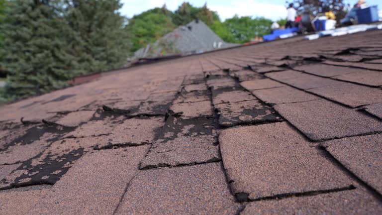 Best Roof Moss and Algae Removal  in Wakefield, MI