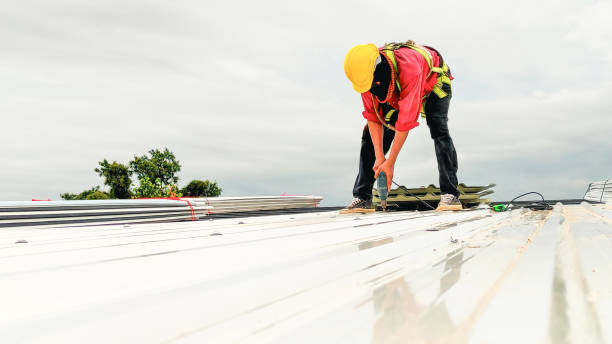 Best Roof Insulation Installation  in Wakefield, MI
